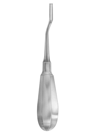 AI-DM-1366