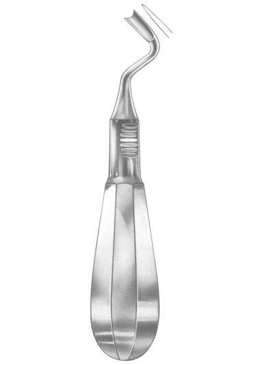 AI-DM-1376
