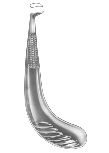 AI-DM-1379