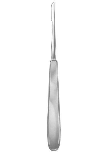 AI-DM-1381