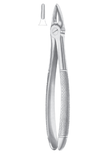 AI-DM-1023