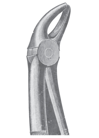 AI-DM-1117