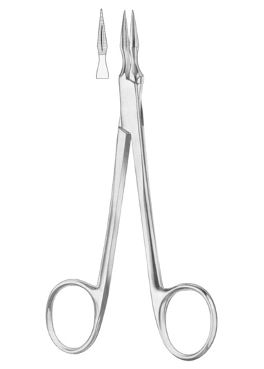 AI-DM-1218