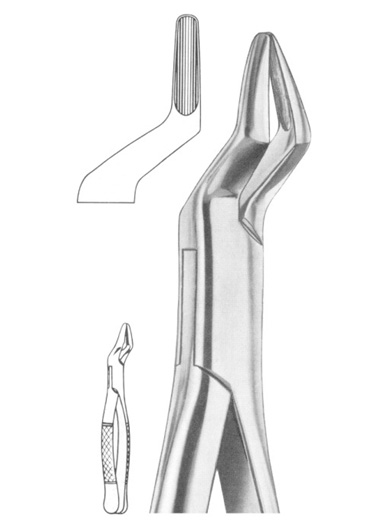 AI-DM-1250