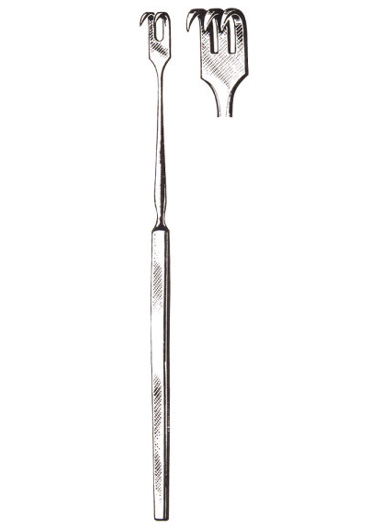 AI-DM-2443