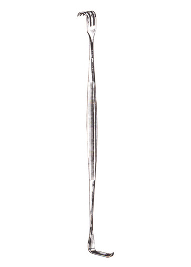 AI-DM-2446