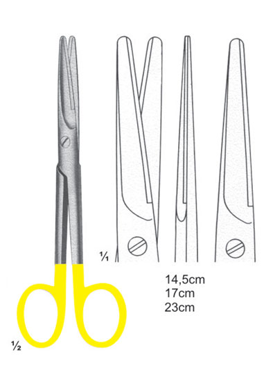 AI-DM-2824