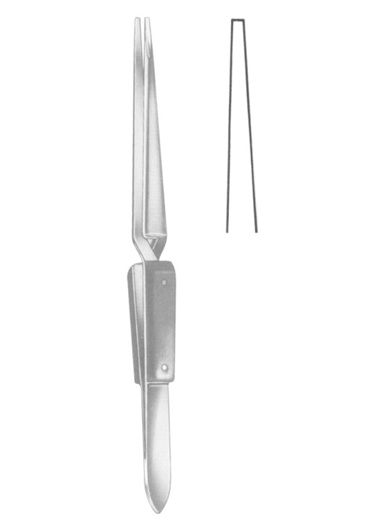 AI-DM-2369